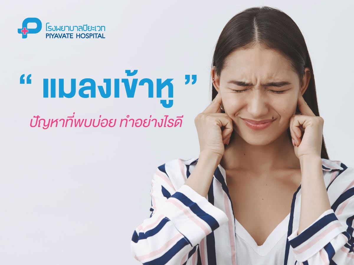 ทำอย่างไรดีเมื่อ แมลงเข้าหู!