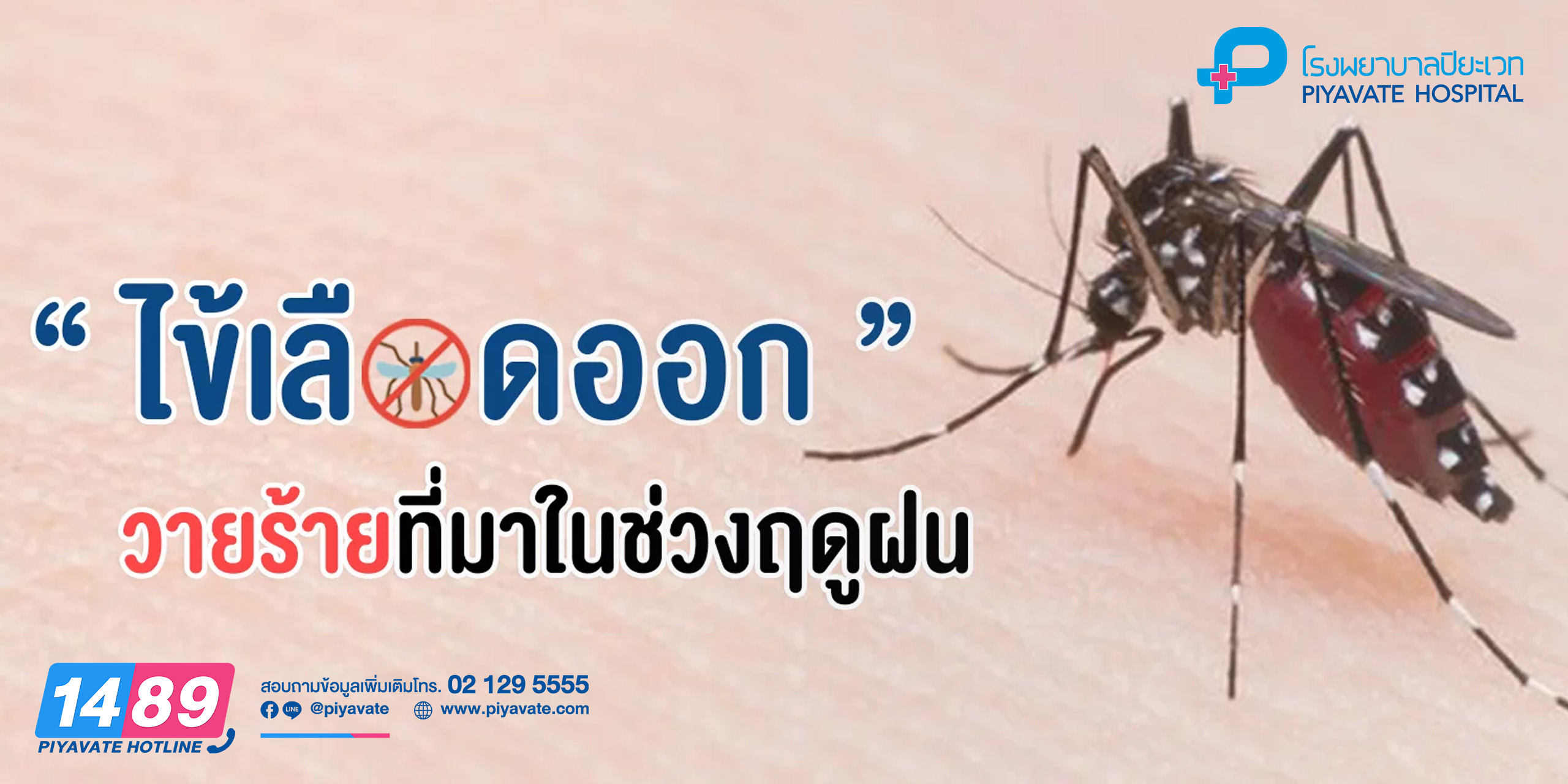 ไข้เลือดออก วายร้ายที่มาในช่วงฤดูฝน
